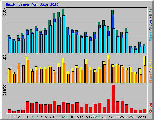 Daily usage for July 2013