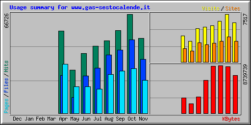 Usage summary for www.gas-sestocalende.it
