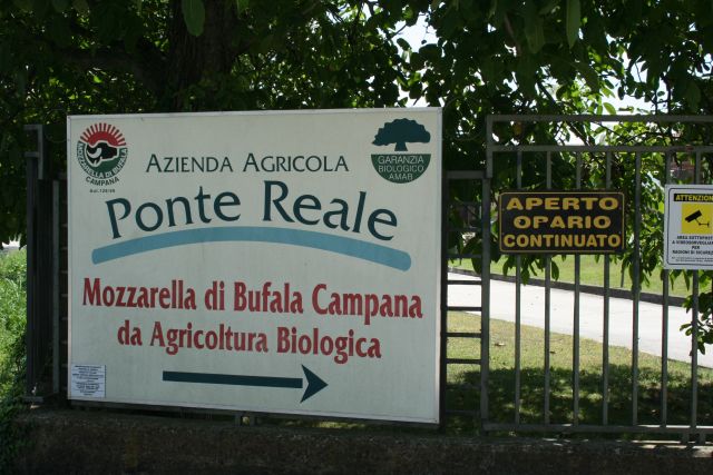 az_ponte_reale_00