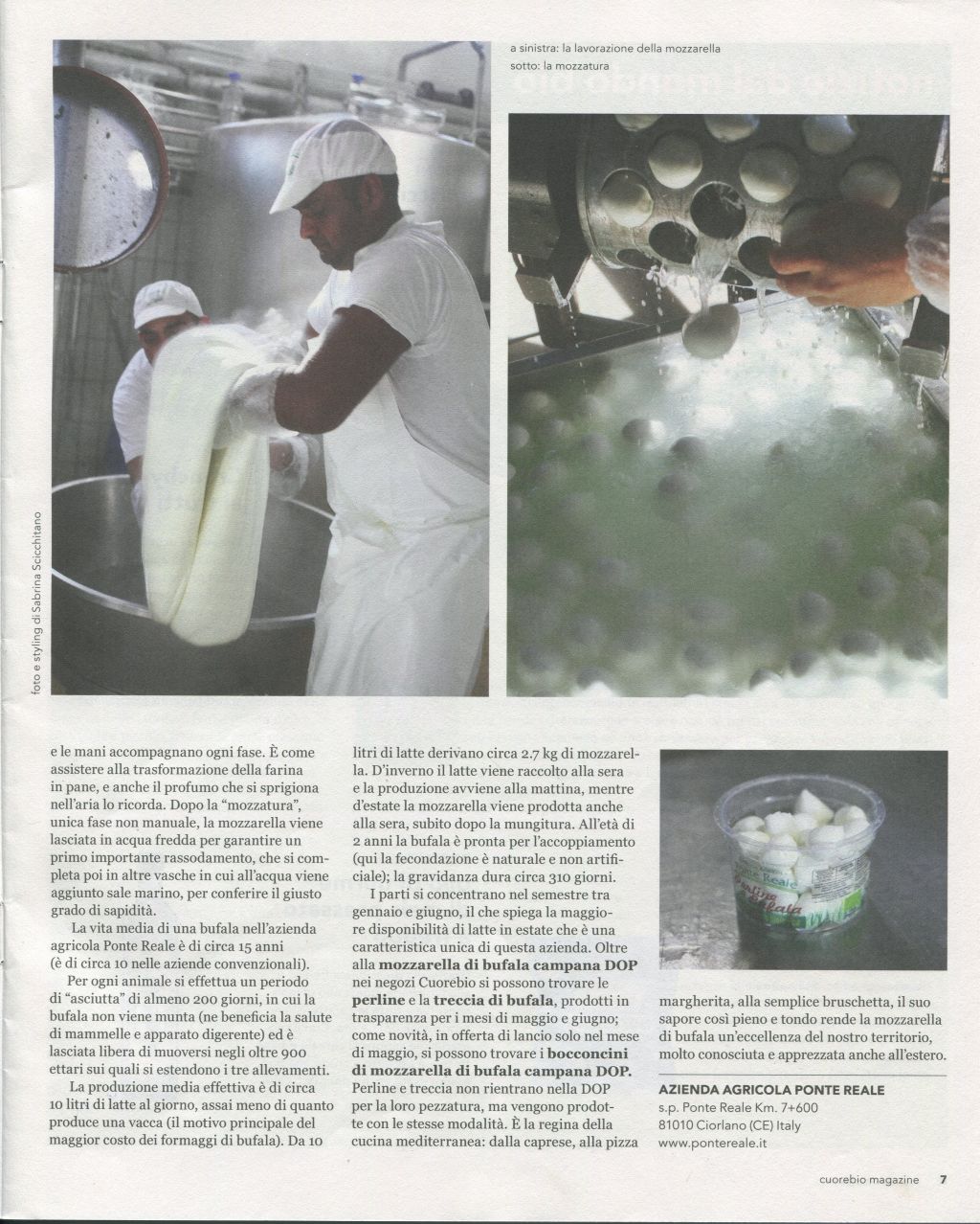 az_ponte_reale_cuore_bio_03